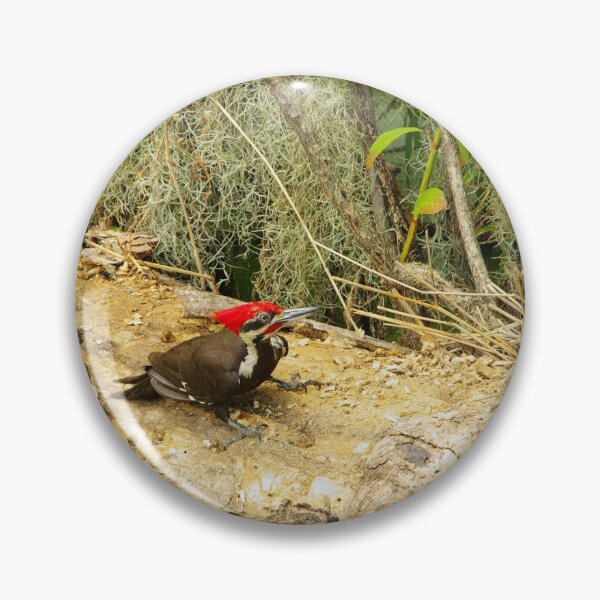 Item preview, Florida Woodpecker designed and sold by InhumanImaging.