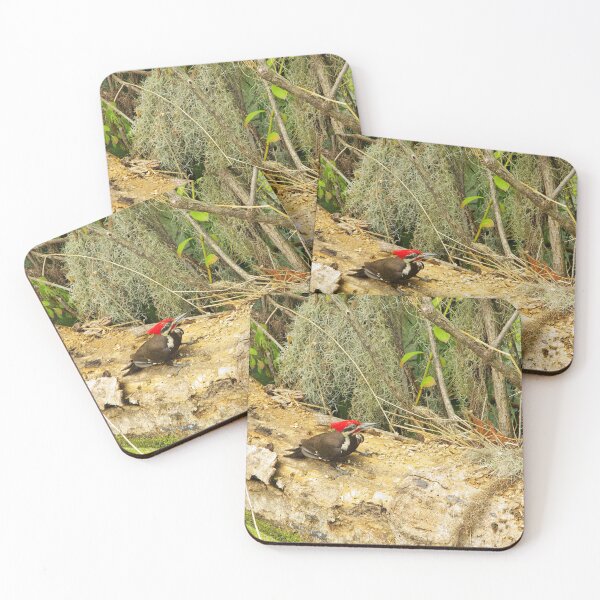 Item preview, Florida Woodpecker designed and sold by InhumanImaging.