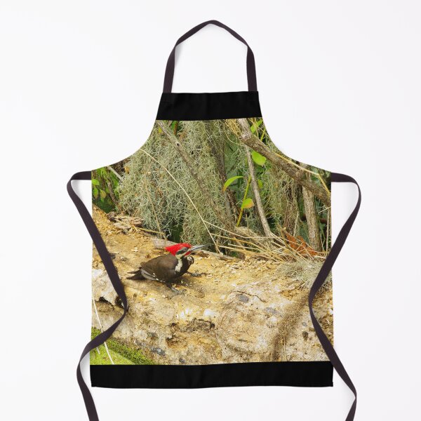 Item preview, Florida Woodpecker designed and sold by InhumanImaging.
