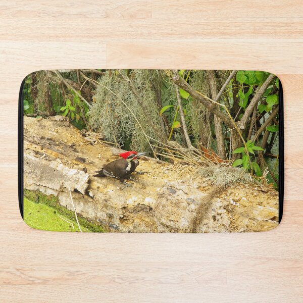 Item preview, Florida Woodpecker designed and sold by InhumanImaging.