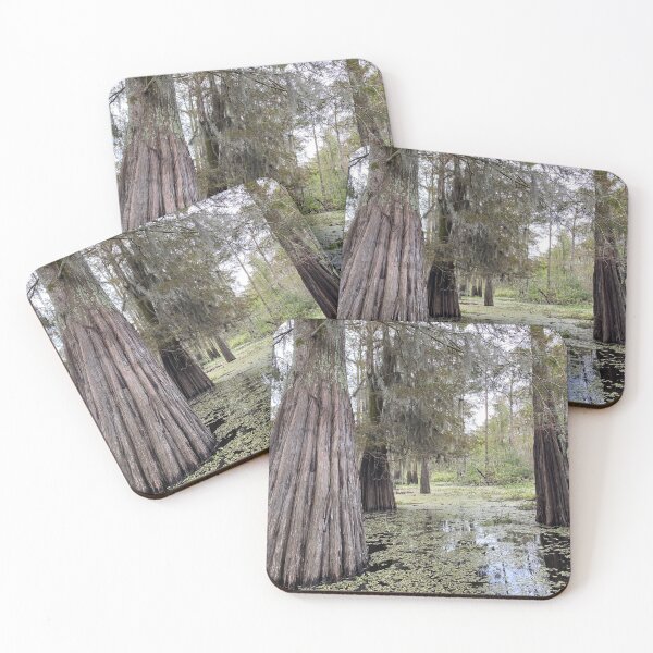 Item preview, Louisiana cypress  designed and sold by Roamingelephant.