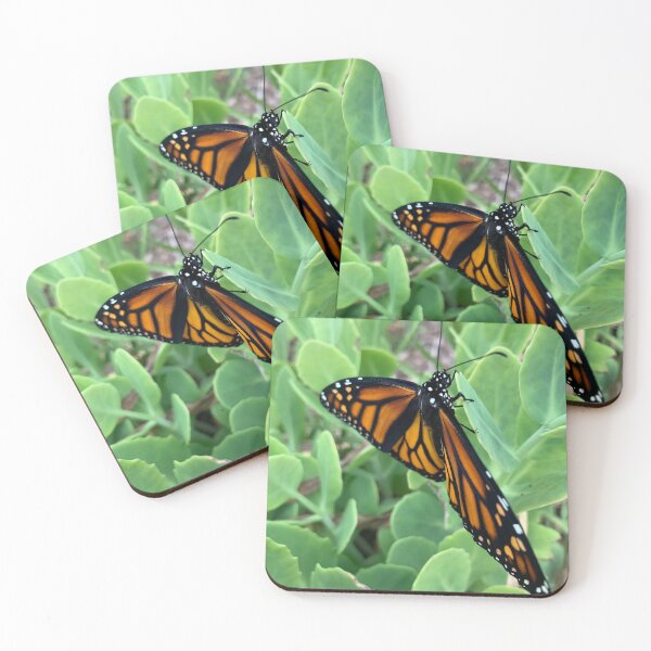 Item preview, Monarch Butterfly  designed and sold by charlie2431.