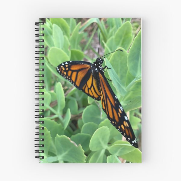 Item preview, Monarch butterfly  designed and sold by charlie2431.
