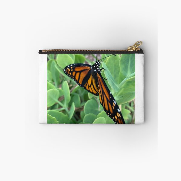 Item preview, Monarch butterfly  designed and sold by charlie2431.
