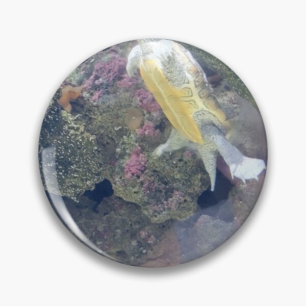 Item preview, Swimming Turtle designed and sold by CoffmanPhotos.