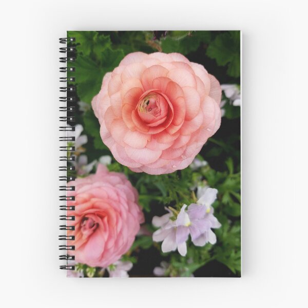 Item preview, Pink Camellias designed and sold by LitaAn.