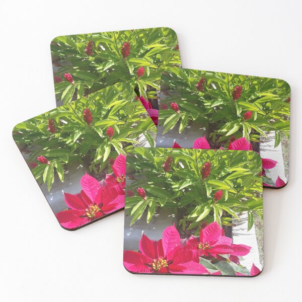 Item preview, Indigo Baha Garden  designed and sold by SaSaBoutique.