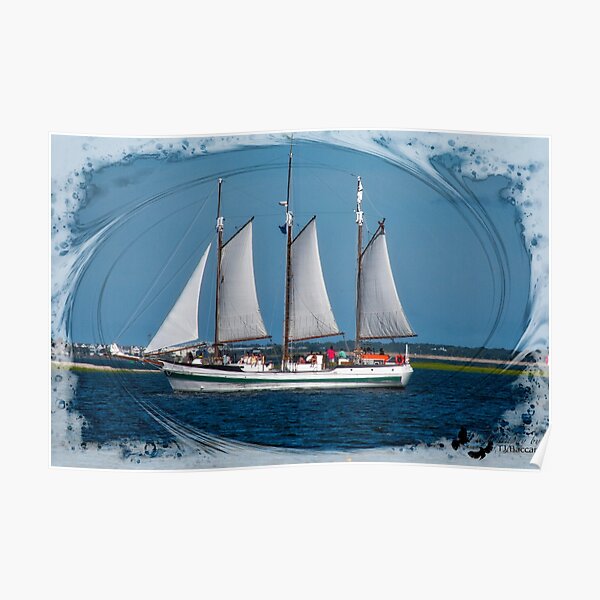 Large Sailboat in Charleston, SC Bay Poster