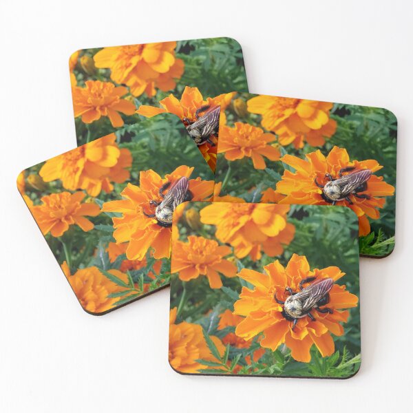 Item preview, Bee on a Marigold designed and sold by LitaAn.
