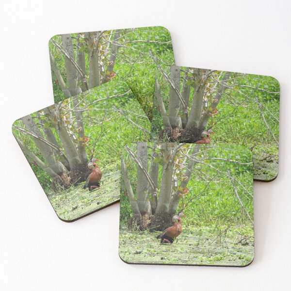 Item preview, Black-Bellied Whistling Ducks designed and sold by InhumanImaging.