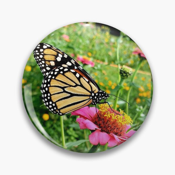 Item preview, Monarch butterfly on a pink zinnia designed and sold by LitaAn.
