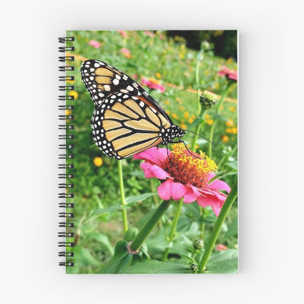 Item preview, Monarch butterfly on a pink zinnia designed and sold by LitaAn.