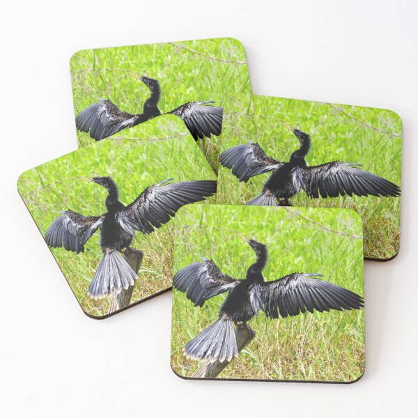 Item preview, Anhinga in the Sun designed and sold by InhumanImaging.
