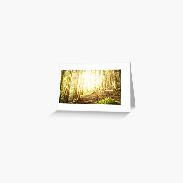 Item preview,  Panoramic,widescreen prints,canvas,posters,metal,tapestries,duvet covers,shower curtains,forest print, Nature scene,Nature sunset designed and sold by eyesight4vision.