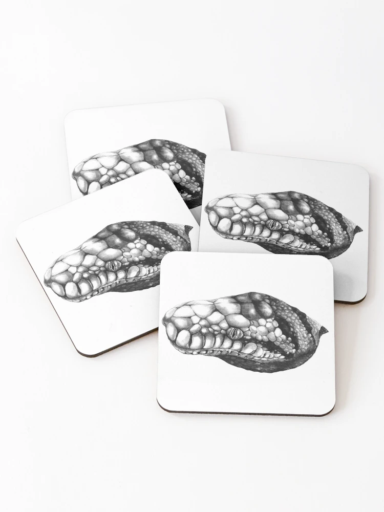 Thumbnail 1 of 5, Coasters (Set of 4), Scrub Python designed and sold by Neversvn.