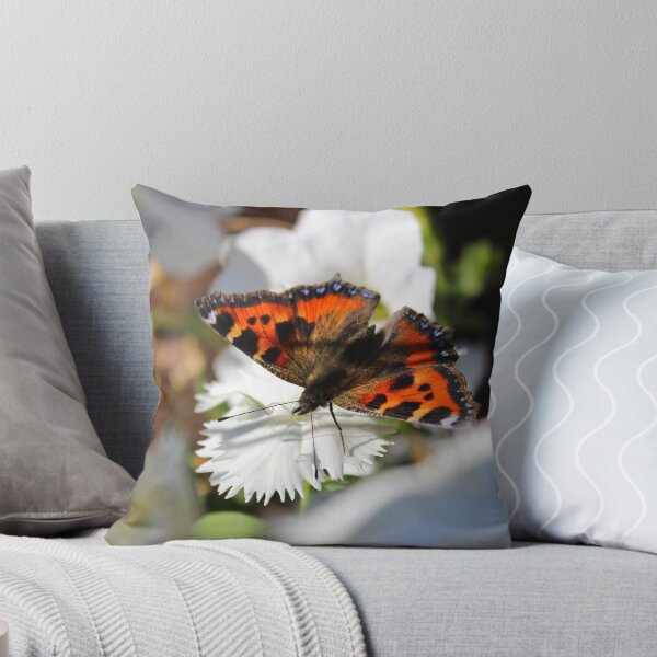 Item preview, Small Tortoiseshell  designed and sold by GreyFeatherPhot.