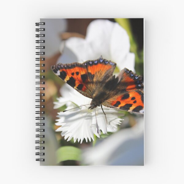 Item preview, Small Tortoiseshell  designed and sold by GreyFeatherPhot.
