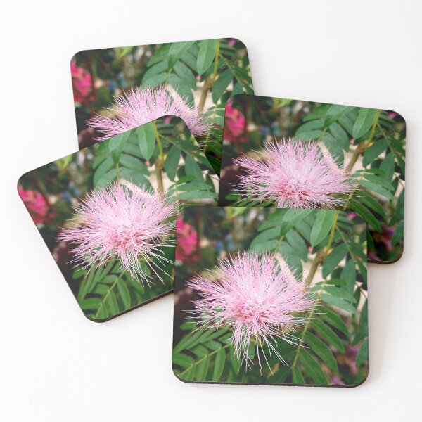 Item preview, Pink Mimosa designed and sold by LitaAn.