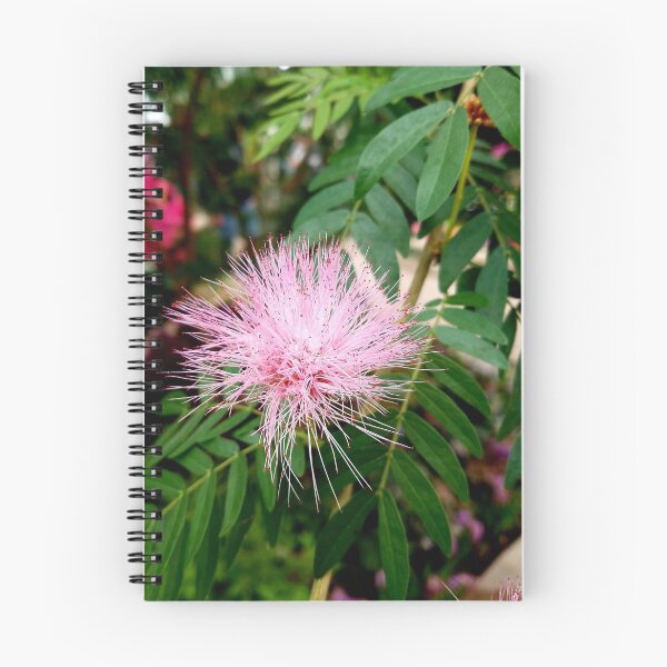 Item preview, Pink Mimosa designed and sold by LitaAn.