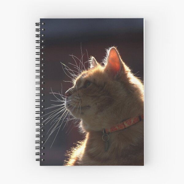 Item preview, Ginger cat with dark background designed and sold by turniptowers.
