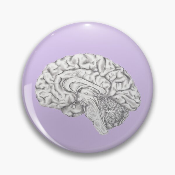 Item preview, Midsection of brain medical illustration designed and sold by Kelley-Art.