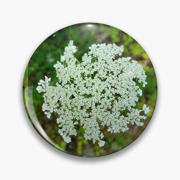 Item preview, Queen Anne’s Lace designed and sold by LitaAn.