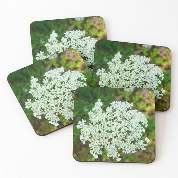 Item preview, Queen Anne’s Lace designed and sold by LitaAn.