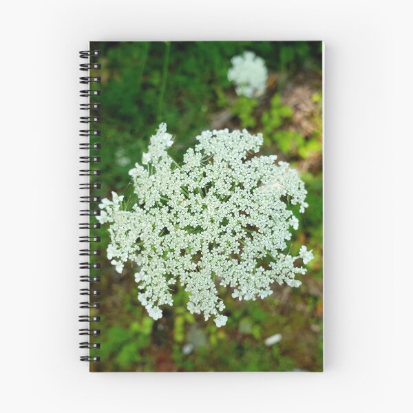 Item preview, Queen Anne’s Lace designed and sold by LitaAn.