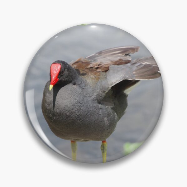 Item preview, Moorhen designed and sold by InhumanImaging.