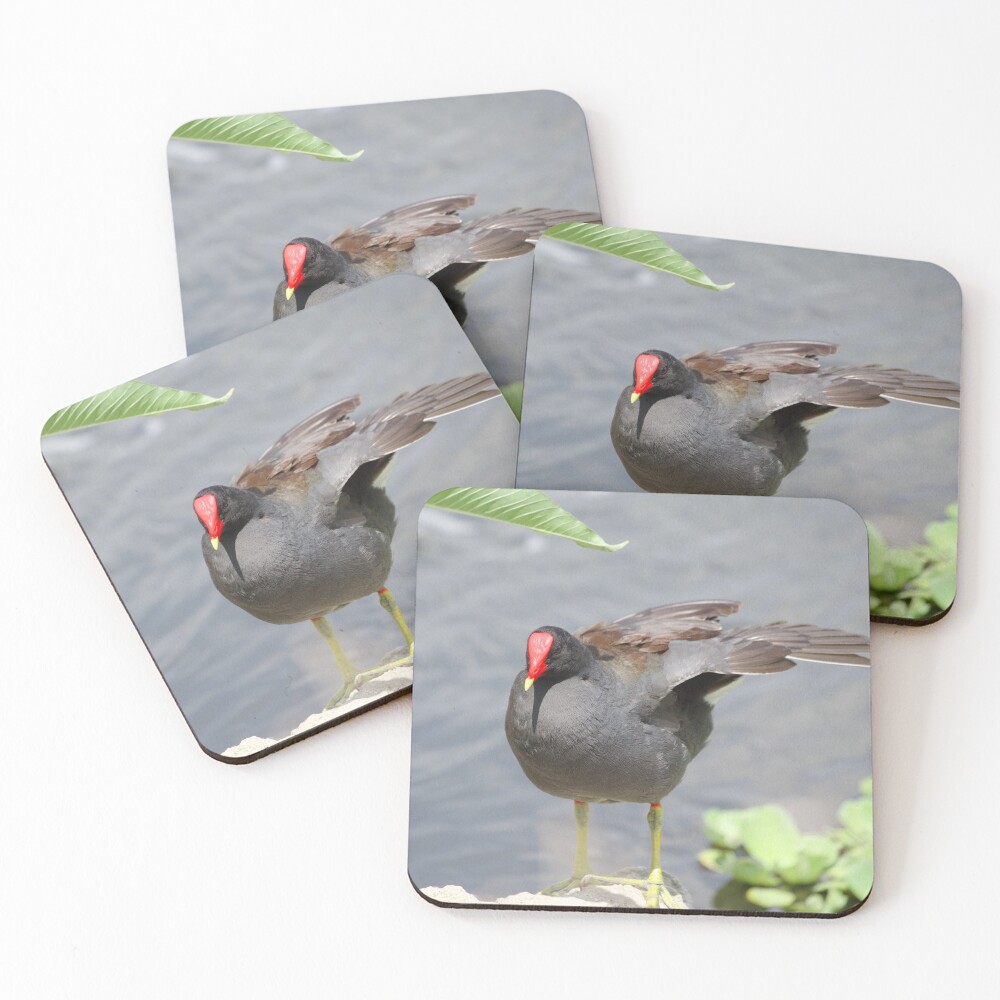 Item preview, Coasters (Set of 4) designed and sold by InhumanImaging.