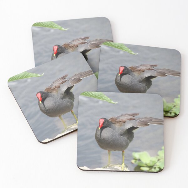 Item preview, Moorhen designed and sold by InhumanImaging.