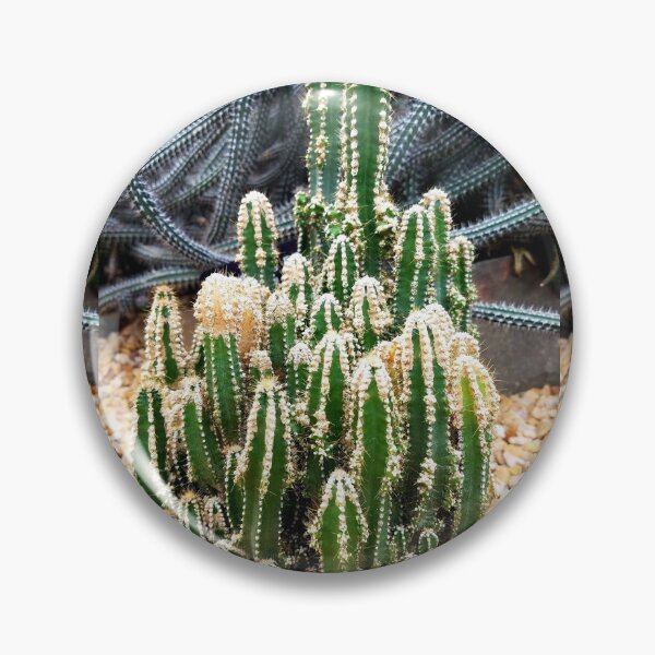 Item preview, Cereus Repandus designed and sold by LitaAn.