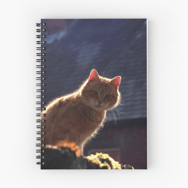 Item preview, Ginger cat with dark background designed and sold by turniptowers.