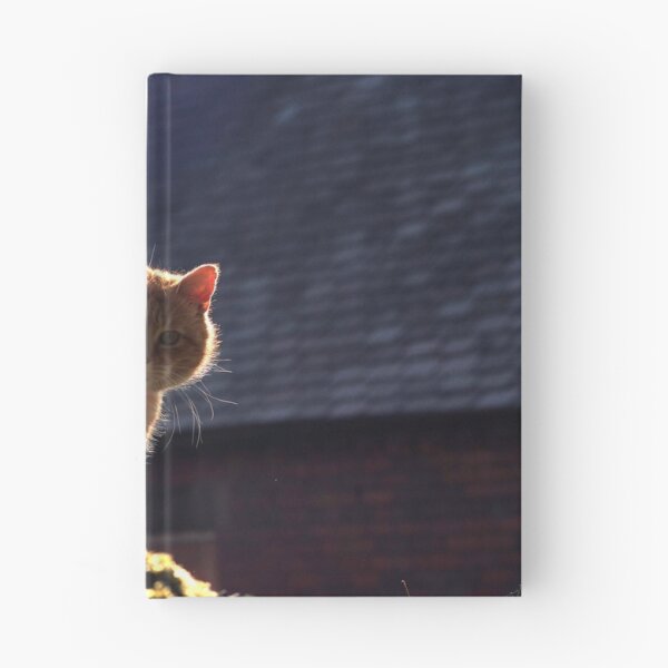 Item preview, Ginger cat with dark background designed and sold by turniptowers.
