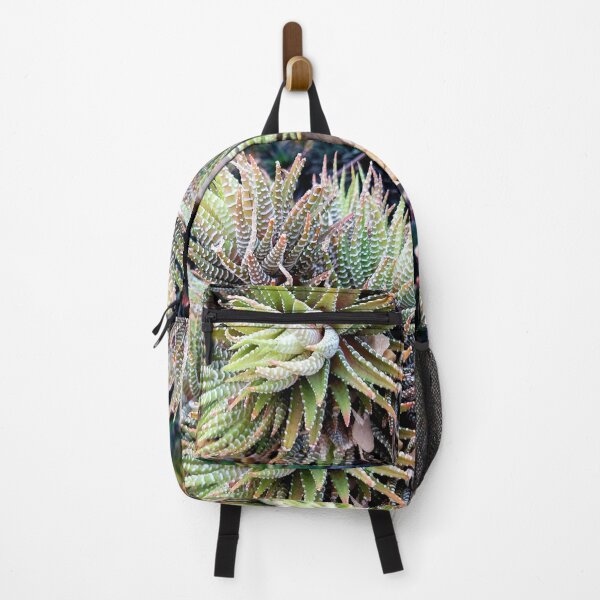 Item preview, Haworthia plant designed and sold by LitaAn.