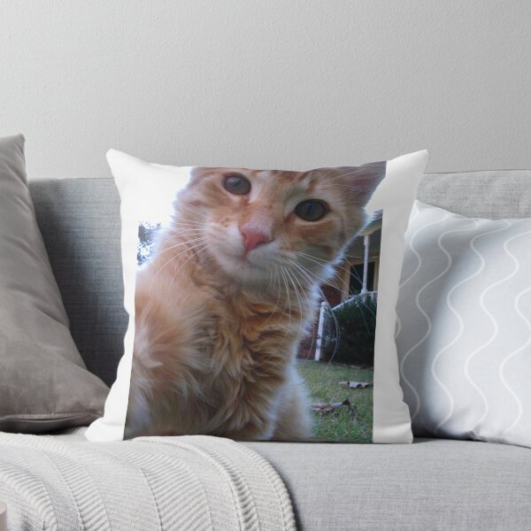 Item preview, Cute Kitty designed and sold by L.D. Franklin.