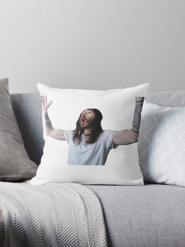 https://ih1.redbubble.net/image.2521188925.9224/throwpillow,small,750x1000-bg,f8f8f8.jpg