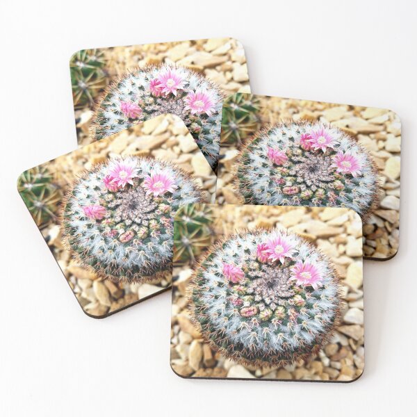 Item preview, Mammillaria Cactus  designed and sold by LitaAn.