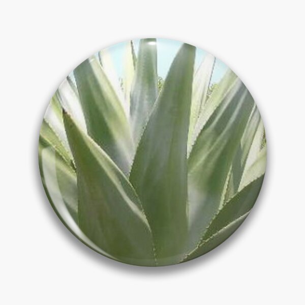 Artikelvorschau, Long Island Baha Happy Aloe entworfen und verkauft von SaSaBoutique.