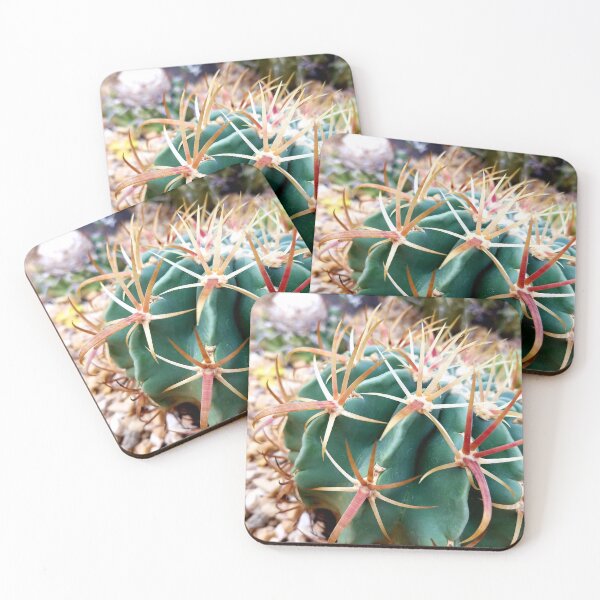 Item preview, Chin Cactus  designed and sold by LitaAn.