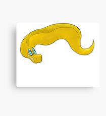 Friendly eel Canvas Print