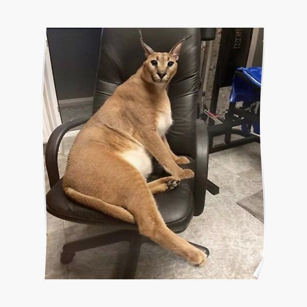 "Big Floppa in a Chair" Poster for Sale by jamespadgett Redbubble