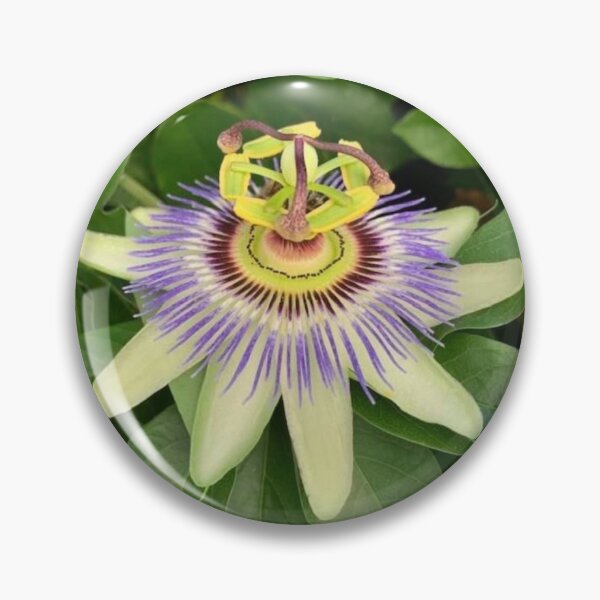 Item preview, Passiflora Flower  designed and sold by baksuart.