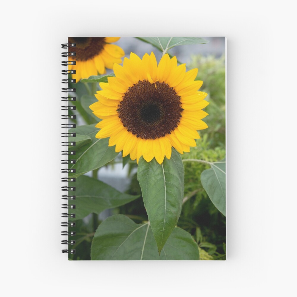 Item preview, Spiral Notebook designed and sold by fourteen92prod.
