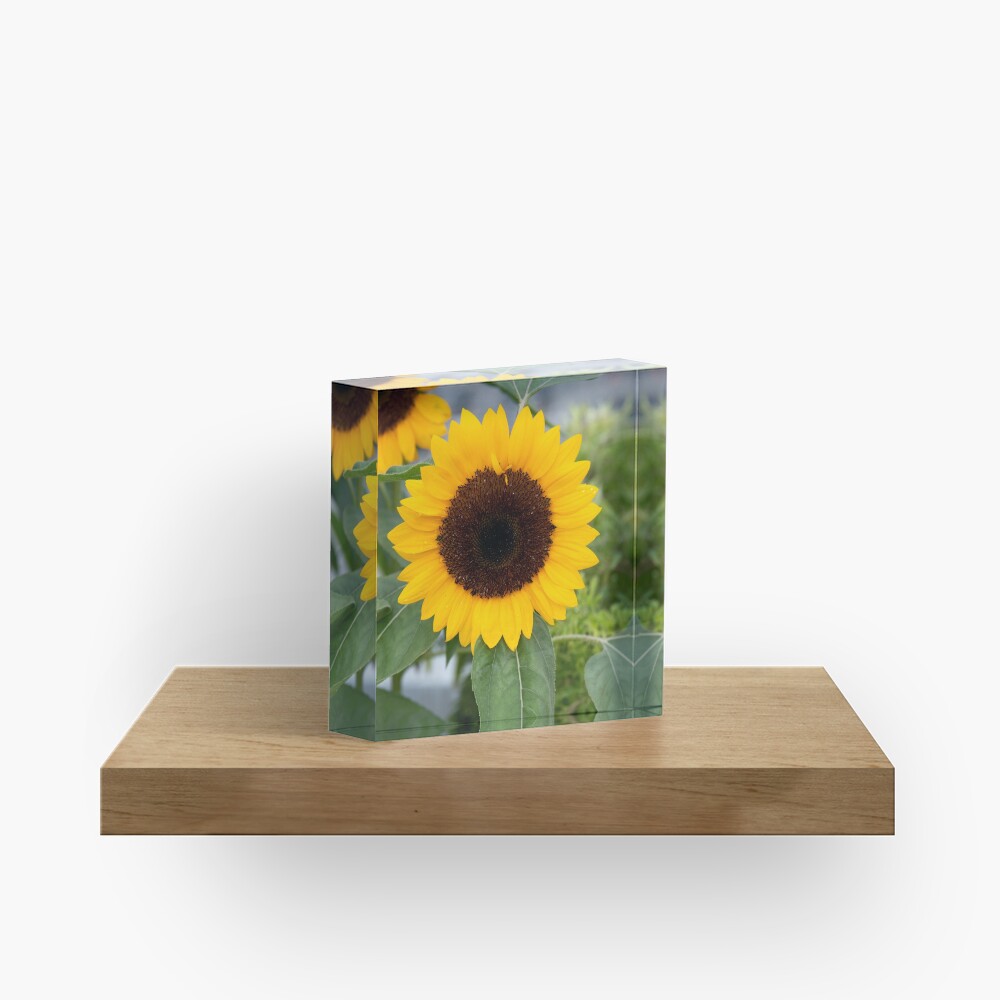 Item preview, Acrylic Block designed and sold by fourteen92prod.