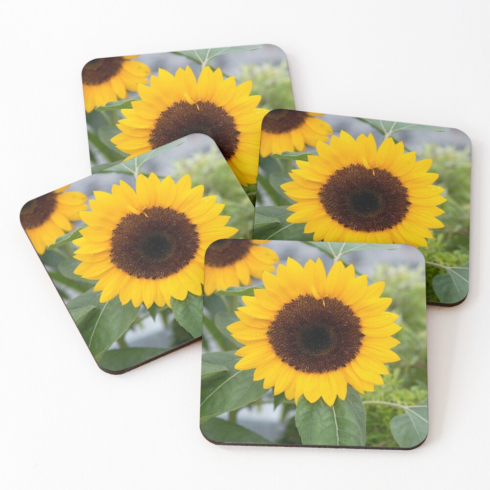 Item preview, Coasters (Set of 4) designed and sold by fourteen92prod.