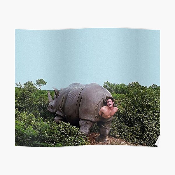 Ace Venture Nashorn Poster