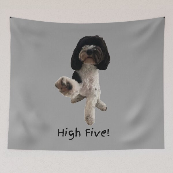 Item preview, High Five! 5 Black and white Cavoodle. Photograph and black, handwritten text designed and sold by JellyBeenzz.
