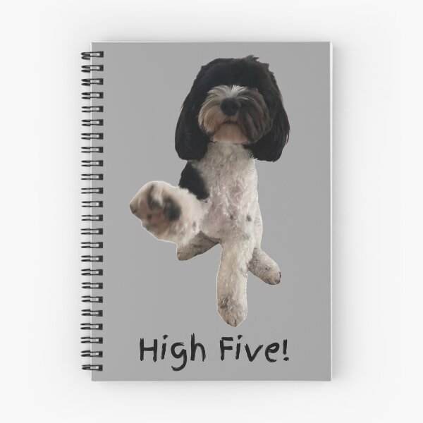 Item preview, High Five! 5 Black and white Cavoodle. Photograph and black, handwritten text designed and sold by JellyBeenzz.