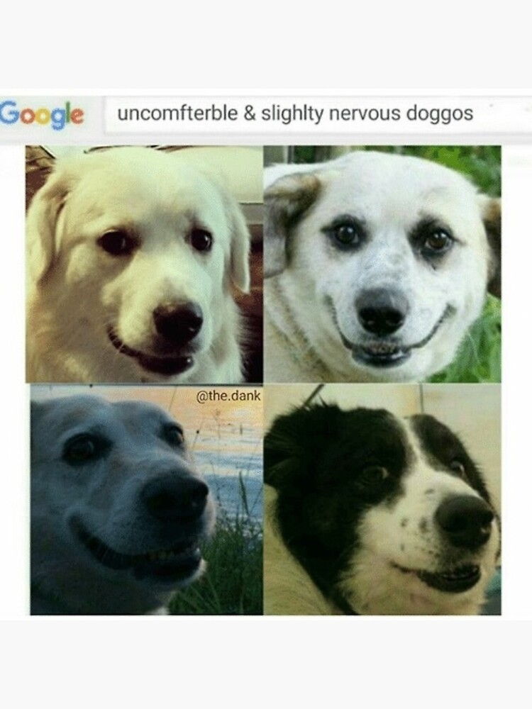 Uncomfterble & leicht nervöse Doggos von Jcrussell99